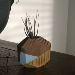 Geometric design airplant holder